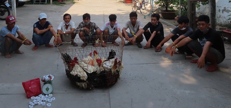 9 đối tượng đá gà tại huyện An Phú (An Giang) bị bắt giữ